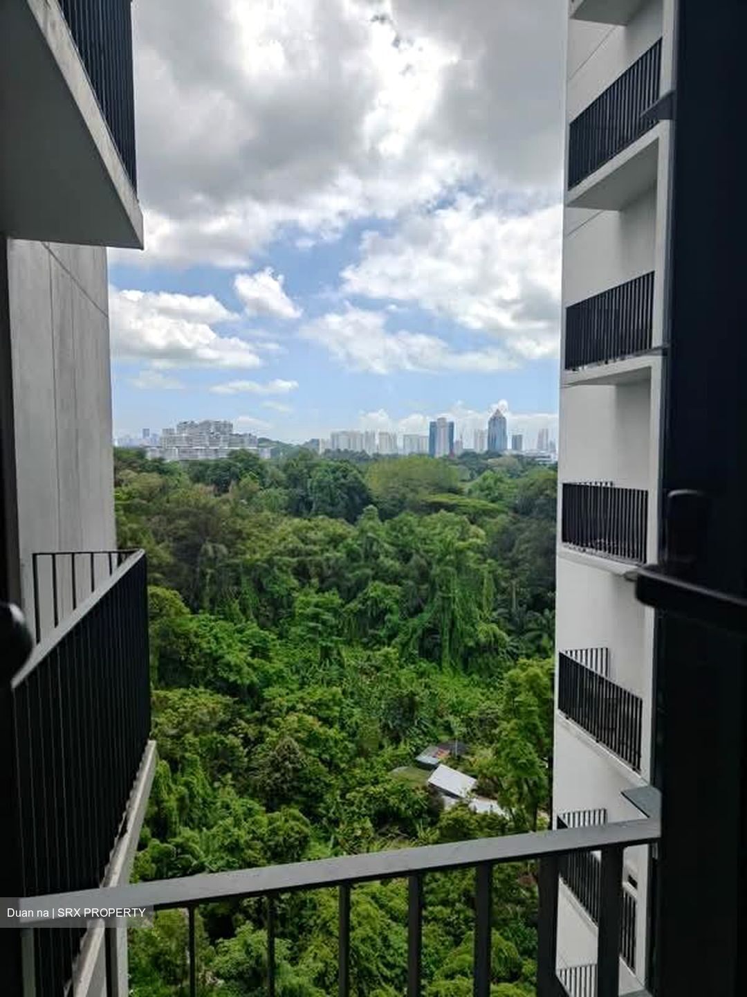 Normanton Park (D5), Apartment #532647311